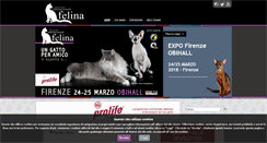 Desktop Screenshot of expo-felina.it