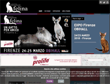 Tablet Screenshot of expo-felina.it